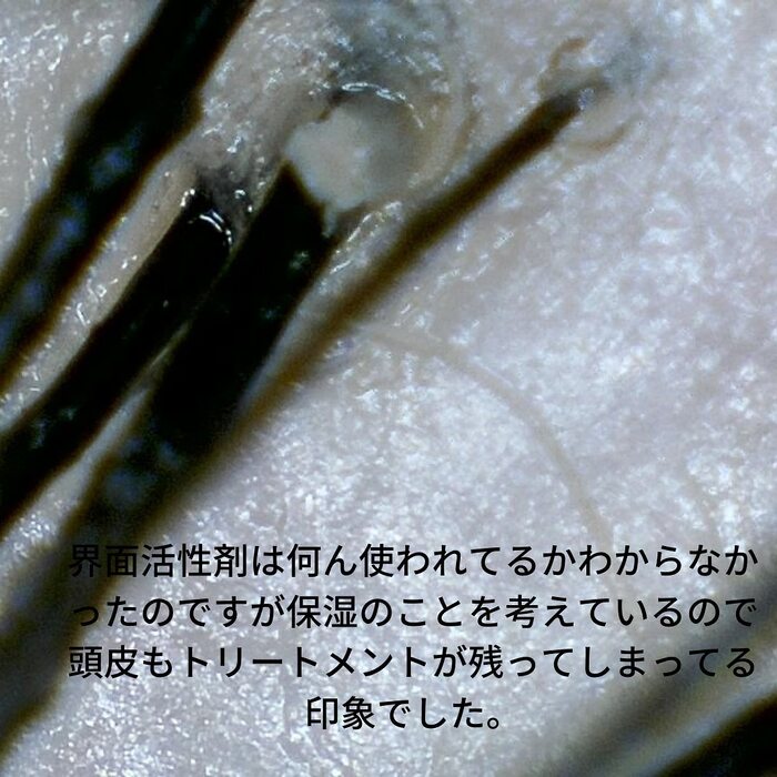 画像404
