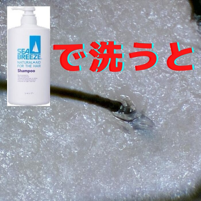 画像408