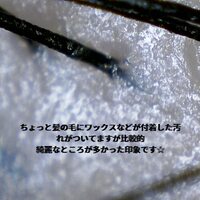 画像409