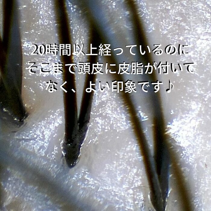 画像415