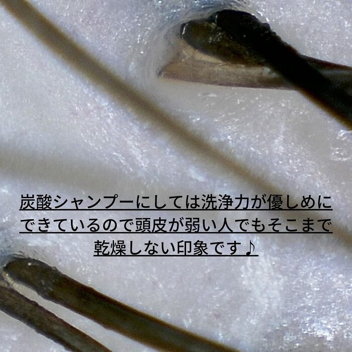 画像451