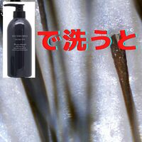 画像465