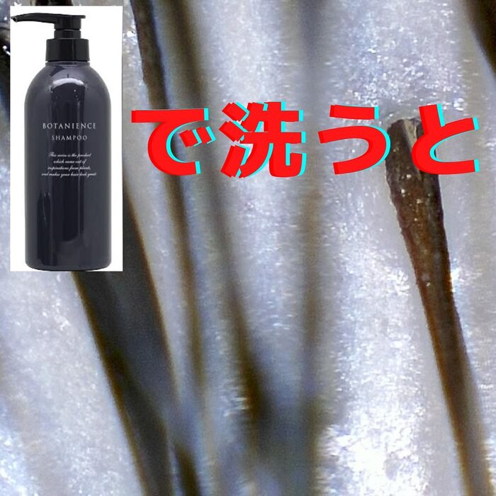 画像465