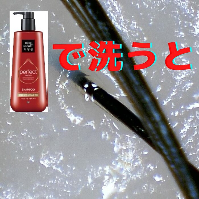 画像476