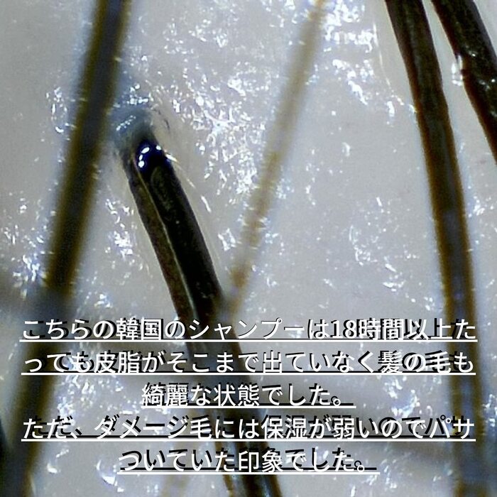 画像477