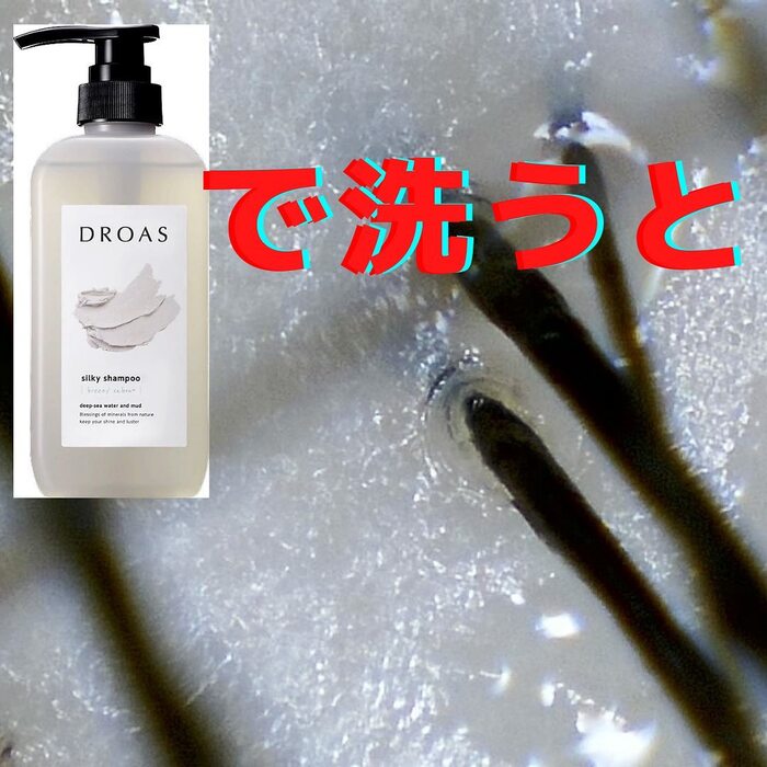 画像480