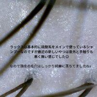 画像487