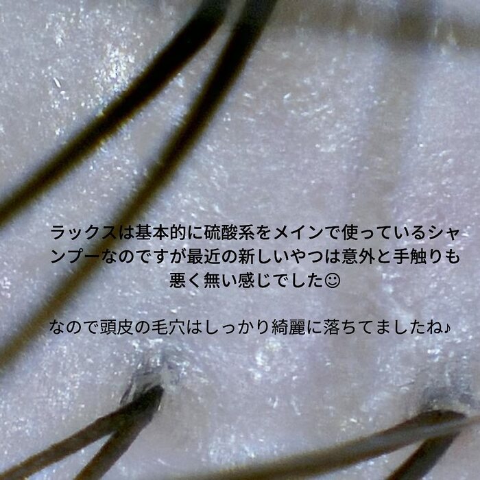 画像487