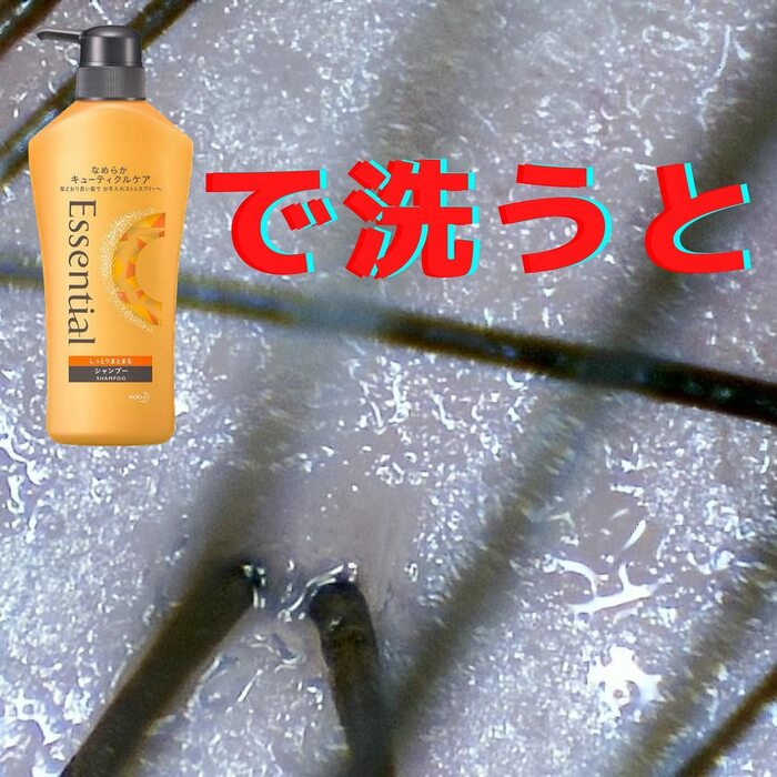 画像491
