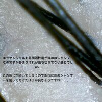 画像492