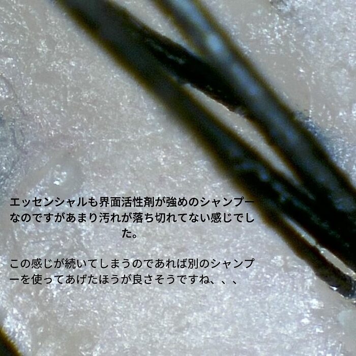 画像492