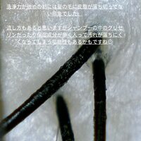 画像497
