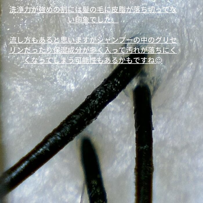 画像497