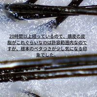 画像502
