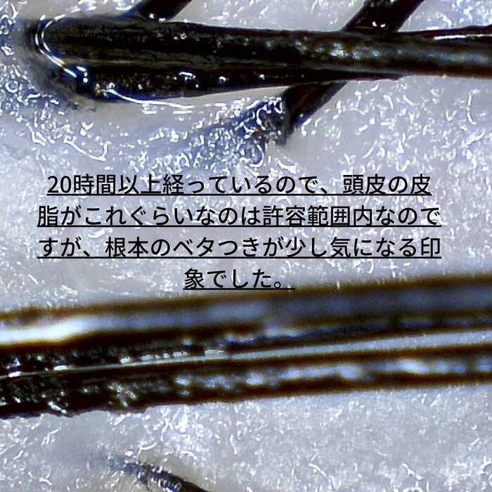 画像502