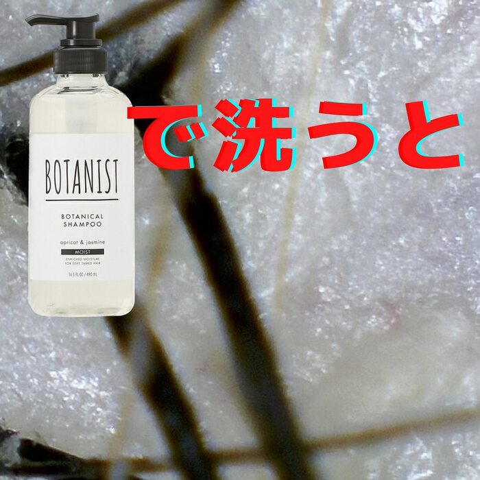 画像513