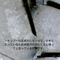 画像514
