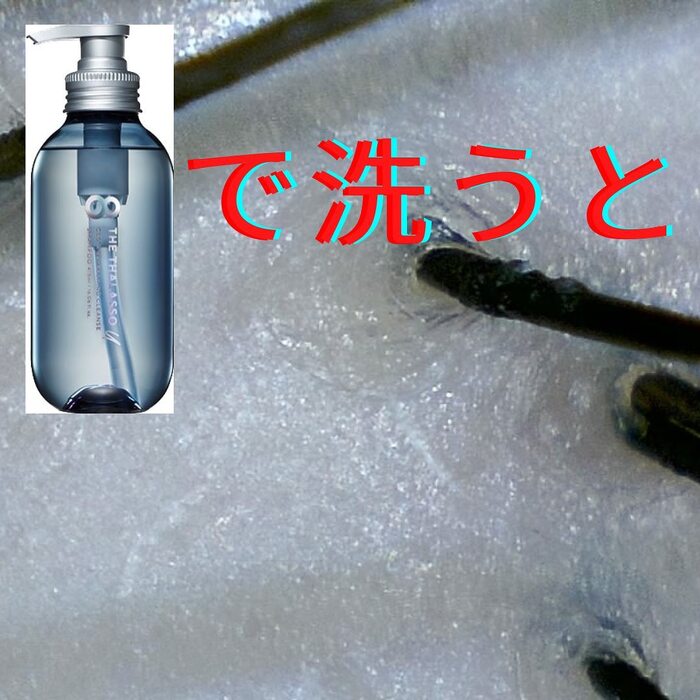 画像537