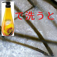 画像542