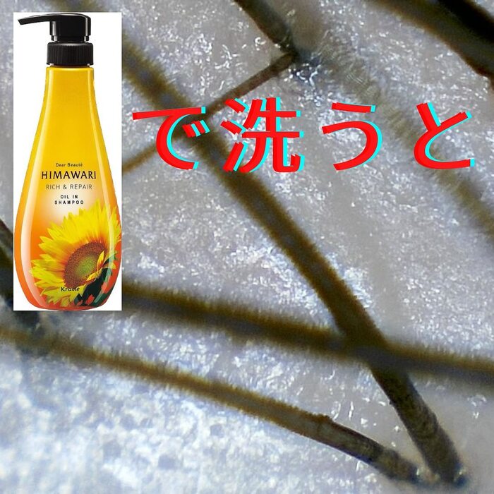 画像542