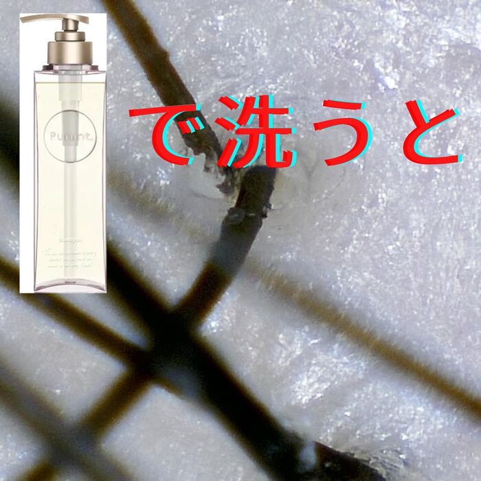 画像564