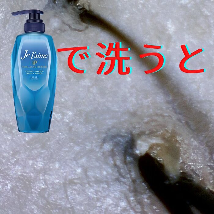 画像569