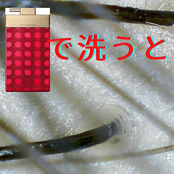 画像598