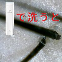 画像617