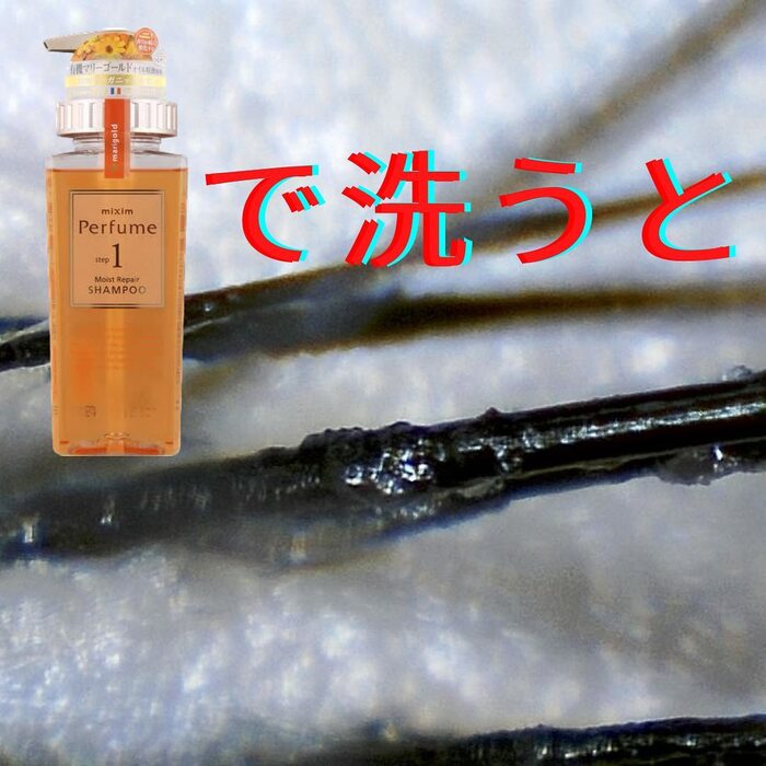 画像665