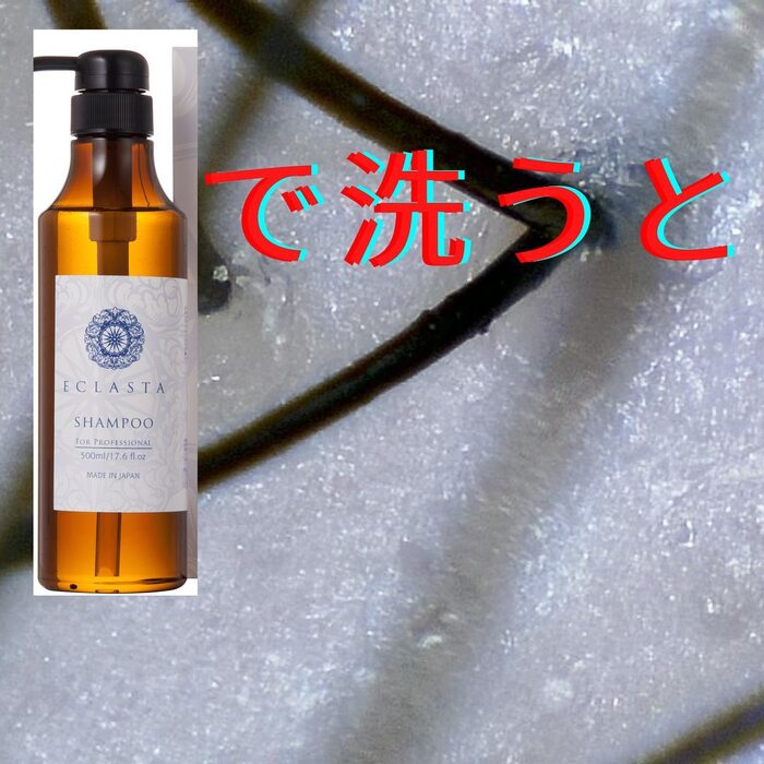 画像689