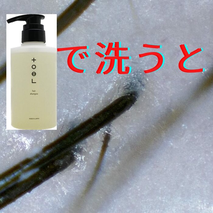 画像697