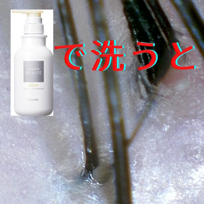 画像701