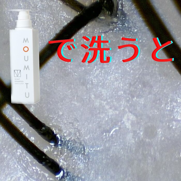 画像739