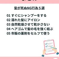 画像755
