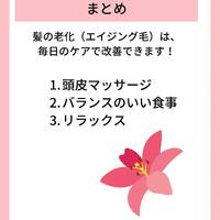 画像798