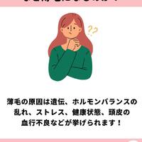 画像837