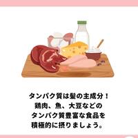 画像866