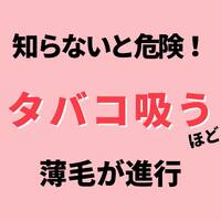 画像887