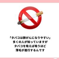 画像888