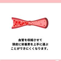画像889
