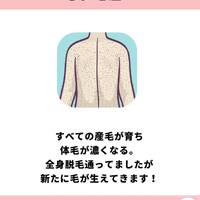 画像929