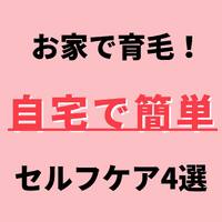 画像954