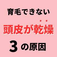 画像982
