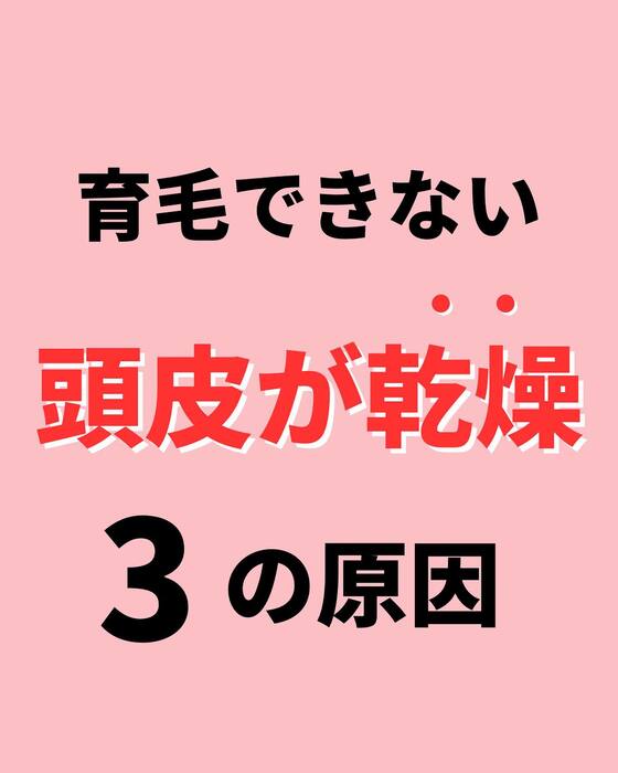 画像982