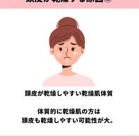画像985