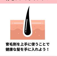 画像995